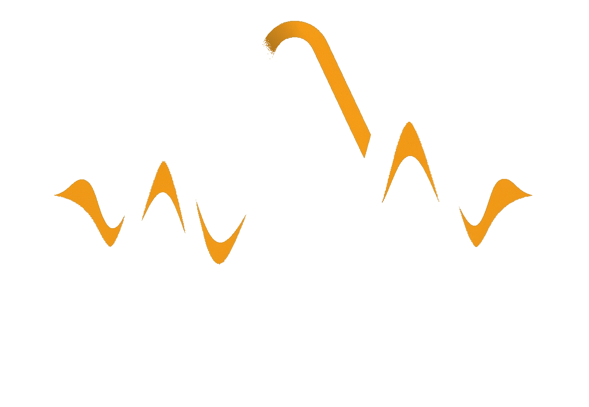 Aria